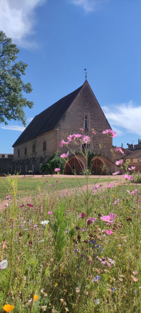 Abbazia di Cluny